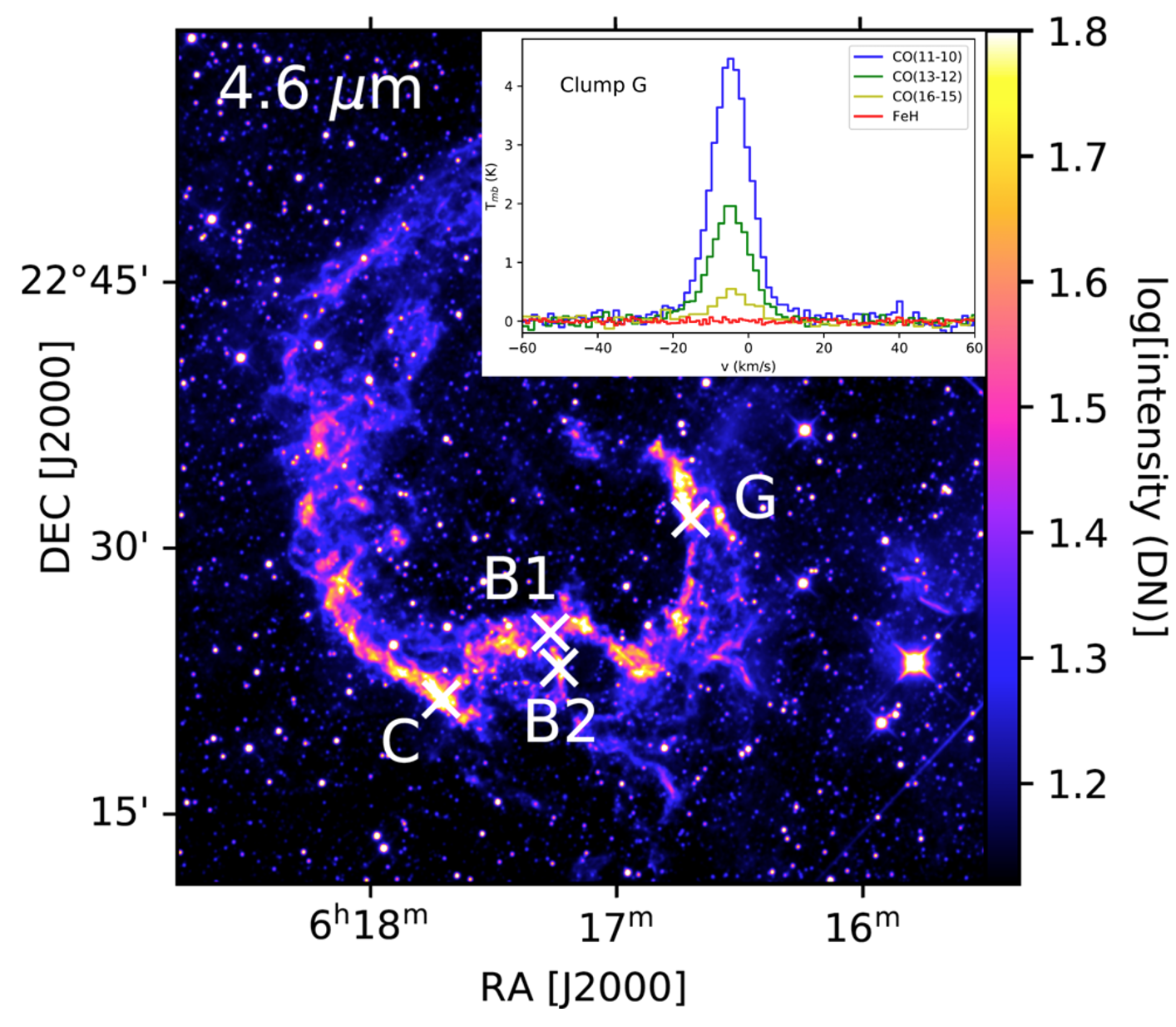 GREAT observations towards clump C and G