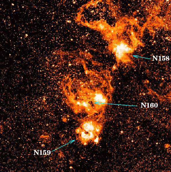 Digitized Sky Survey image of the HII region N160