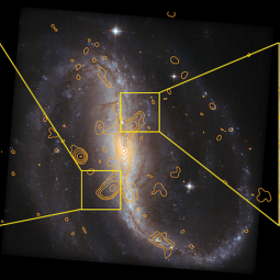 Hubble Space Telescope image of NGC 7479 with 20 cm radio continuum contours