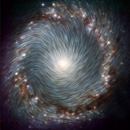 Starburst ring of NGC 1097 with magnetic streamlines
