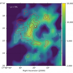 SOFIA/HAWC+ 214 µm emission of the Ring (M0.8-0.2), overlaid with the magnetic field directions