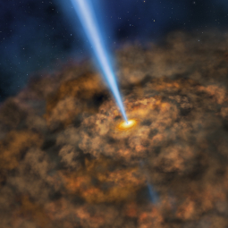 Illustration of thick ring of dust near the supermassive black hole of an active galactic nuclei