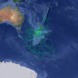 New Zealand flight paths