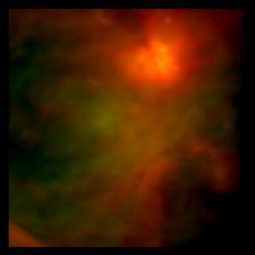 Infrared image of the heart of the Orion star-formation complex