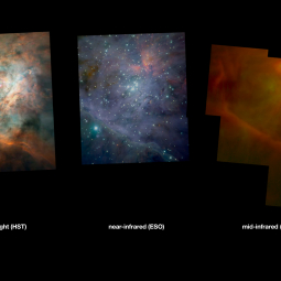 Three-panel comparison of Orion M42