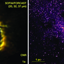 SOFIA/FORCAST mid-infrared image of the Milky Way Galaxy's nucleus