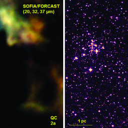 SOFIA/FORCAST mid-infrared image of a region including the Quintuplet Cluster