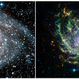 Optical (HST) and infrared (Spitzer) images of galaxy IC 342
