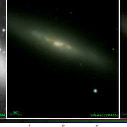Three images of the central portions of galaxy M82 that include the position of Supernova 2014J