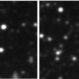 Pluto occultation image sequence from the Fast Diagnostic Camera (FDC) on SOFIA