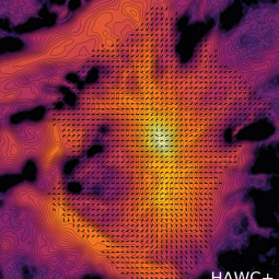 Image of polarization measurements capturing the structure of the magnetic field in the Orion star forming region.
