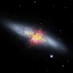 Cigar Galaxy with magnetic field shown as streamlines over red outflow, yellow dust and stars