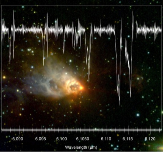 Infrared spectrum of the protostar AFGL 2591