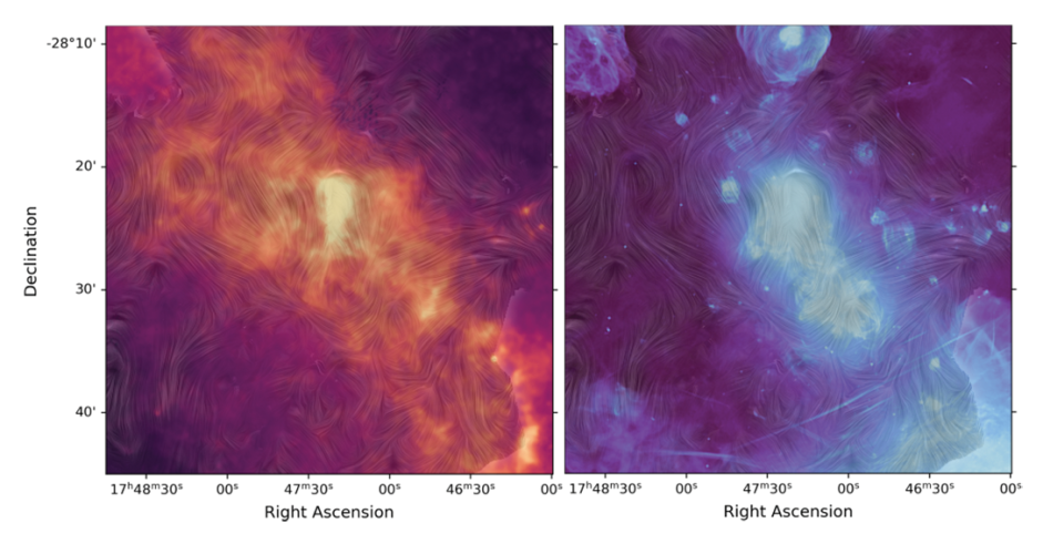 Magnetic fields over Herschel and MeerKAT images