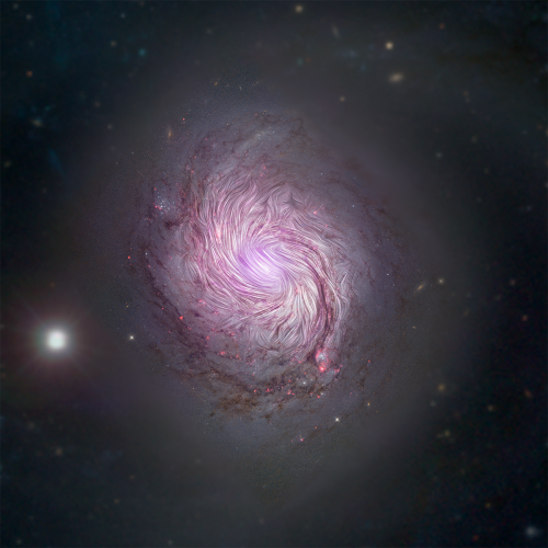 Magnetic fields shown as streamlines over an image of the galaxy NGC 1068 or M77 
