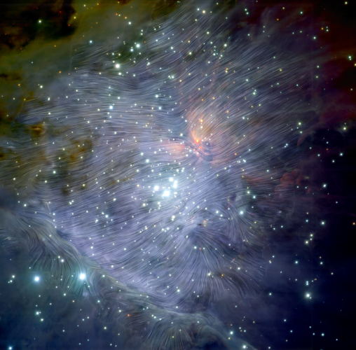 Magnetic fields in the Orion Nebula