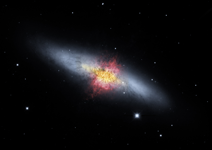 Cigar Galaxy with magnetic field shown as streamlines over red outflow, yellow dust and stars